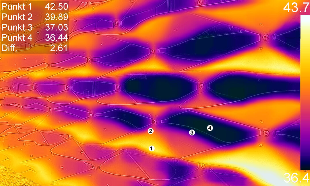 Thermography shows the effect of shading and the influence of solar radiation on surface temperatures. Copyright: Maxie Schneider
