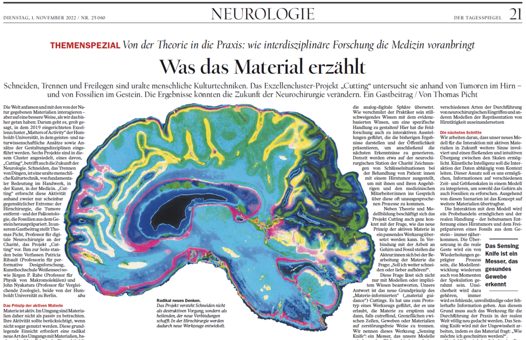 Tagesspiegel Special Neurology: Copyright: Tagesspiegel
