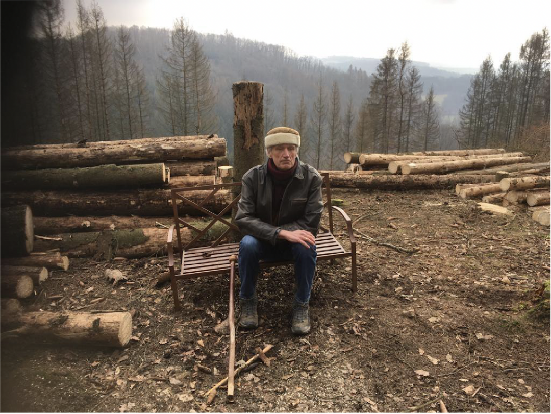 As part of the performance »Tender Absence«, Siegfried Saerberg sits on a bench amidst deforested trees. Copyright: Disabled Landscapes
