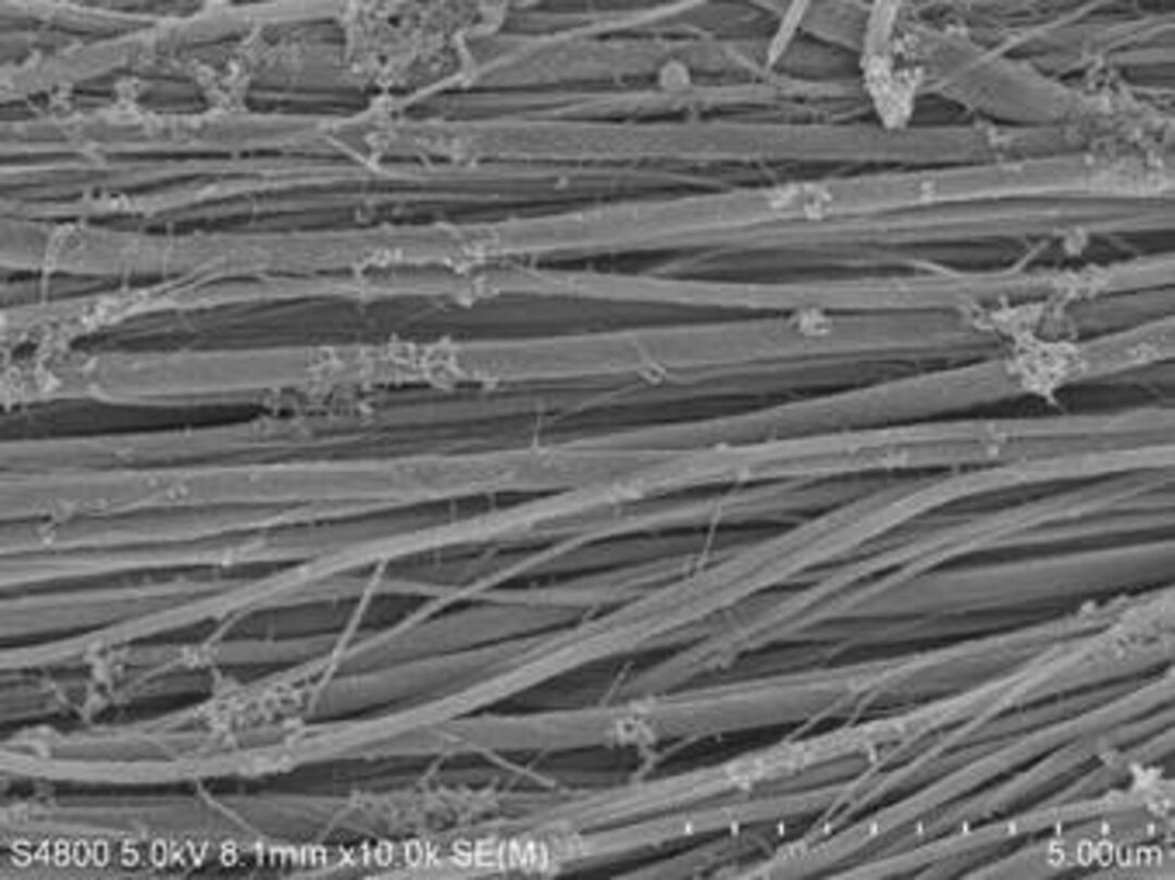 Collagen fiber bundle after mineralization with bone mineral calcium phosphate under an electron microscope. Copyright: Max Planck Institute of Colloids and Interfaces
